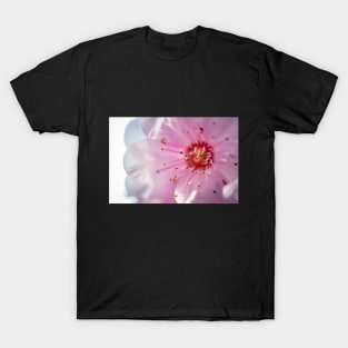FLOWERS, NATURE’S Fashion Models T-Shirt